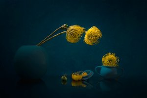 Stemningsfulle gule blomster av Lydia Jacobs