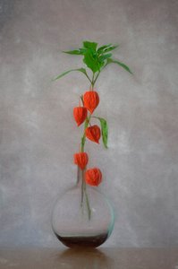 Vase med oransje lykter av Lydia Jacobs