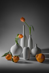 Oransje tulipaner og mandariner av Lydia Jacobs