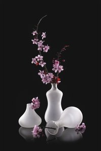 Rosa blomster, matte vaser av Lydia Jacobs