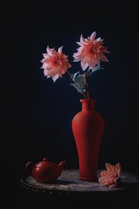 Rosa georginer, rød vase av Lydia Jacobs