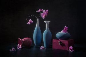 Rosa orkideer og vaser av Lydia Jacobs