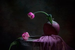 Stilleben med rosa tulipaner av Lydia Jacobs