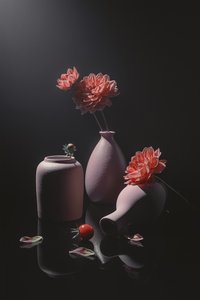 Stille rosa blomsterstilleben av Lydia Jacobs