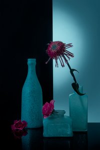 Blågrønne flasker med blomster av Lydia Jacobs