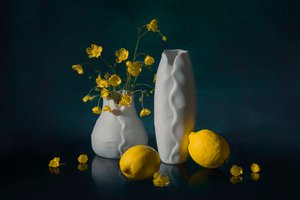 Fargerikt blomsterstilleben av Lydia Jacobs