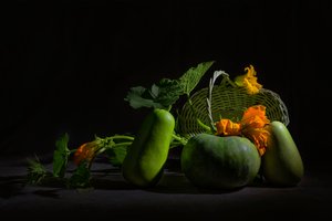 Livlig stilleben med innhøsting av Lydia Jacobs