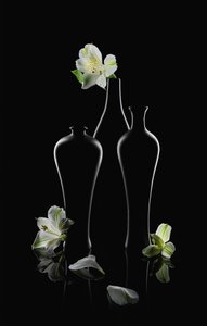 Hvite blomster, mørke vaser av Lydia Jacobs