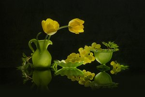 Gule tulipaner, grønne druer av Lydia Jacobs