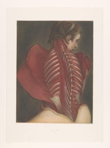 Anatomisk representasjon av ryggen av M.D. Duplain
