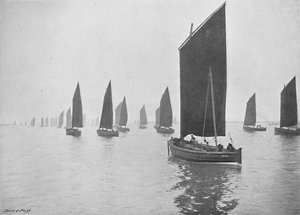 Sildebåter utenfor Tyne, c1896