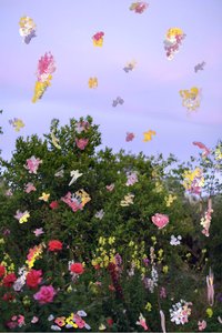 Abstrakterte blomster, 2019 (akrylmaling på arkivpigmenttrykk) av Madeleine Gross