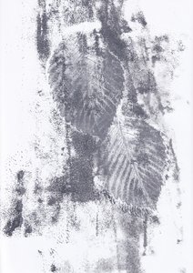  av Maira Ribena