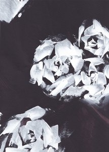  av Maira Ribena