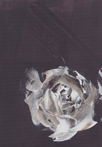  av Maira Ribena