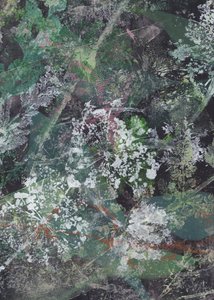 Mørk blomsterabstraksjon