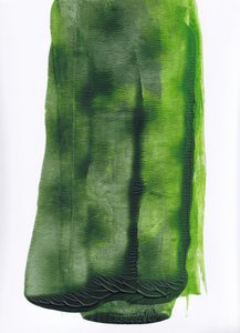 av Maira Ribena