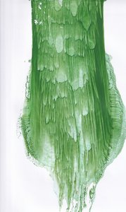  av Maira Ribena