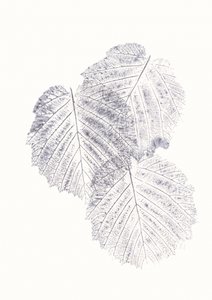  av Maira Ribena