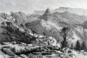 På marsj nær Dongolo, gravert av James Ferguson, 1868 av Major A.G.F. Hogg