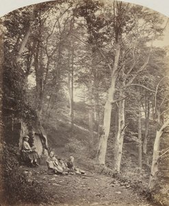 En sti gjennom en skog, ca. 1860. av Major Francis Gresley