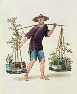 A Porter with Fruit Trees and Flowers, plate 16 fra 