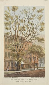 Varian Tree i Broadway, mellom 26th og 27th Streets, 1864 av Major and Knapp