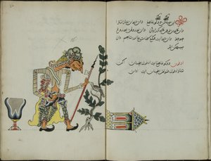 Gurkemeie Java, MS 41 s. 32, bilde 16, 1830