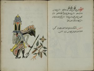 Gurkemeie Java, MS 41 s. 34, bilde 17, 1830