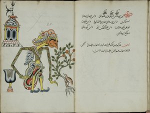 Gurkemeie Java, MS 41 s. 40, i dag 20, 1830