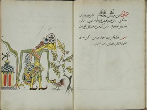 Gurkemeie Java, MS 41 s. 42, bilde 21, 1830 av Malay Malay