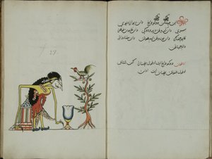 Gurkemeie Java, MS 41 s. 54, bilde 27, 1830