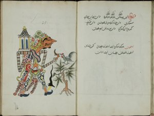 Gurkemeie Java, MS 41 s. 58, nå 29, 1830