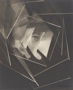 Fly av Man Ray