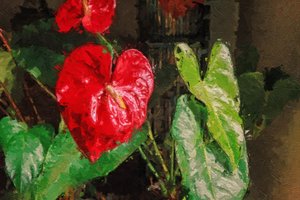 Stor rød hjerteformet anthurium av Mano Chandra Dhas