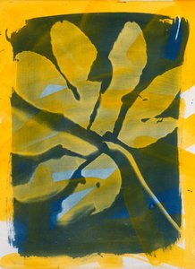  av Marco Campedelli