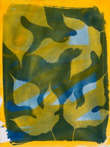  av Marco Campedelli