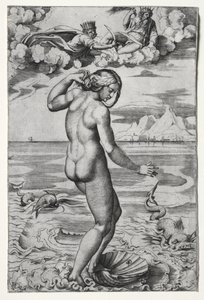 Venus