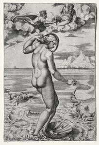 Venus