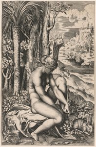 Venus såret av en rosetorn, ca. 1516. av Marco Dente