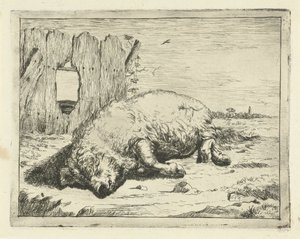 liggende gris Storfe og griser (serietittel) av Marcus de Bye