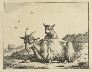 Liggende geit med lam Geiter og bukker (serietittel)