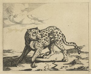 Leopard, stående til venstre, hodet til høyre Leoparder (serietittel) av Marcus de Bye