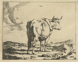 Stående ku, sett bakfra Storfe (serietittel)
