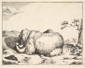 fra The Set of The Bears, ca. 1664. av Marcus de Bye