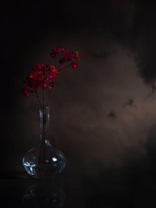 Stemningsfulle røde blomster av Margaret Halaby