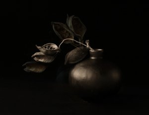 Stemningsfulle frøkapsler
