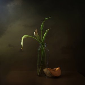 Visne liljer og melon