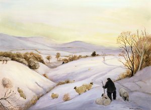 Sauer på ryggen av Margaret Loxton