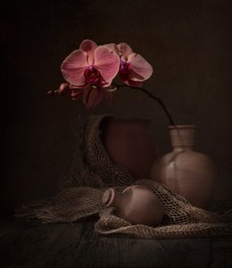  av Margareth Perfoncio